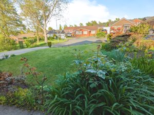Front garden- click for photo gallery